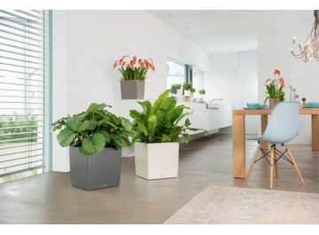 Кашпо Lechuza 16367 CUBE 40