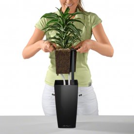 Кашпо Lechuza 18057 MAXI-CUBI