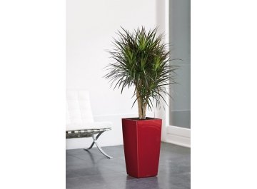 Кашпо Lechuza 18185 CUBICO 30