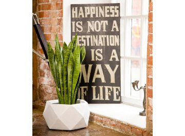 Кашпо Геометри Чаша W41 L41 H21 DBOWL41-AW