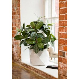 Кашпо Геометри Ромб W25 L25 H20 DSQUARE25-AW