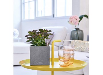 Кашпо Канто Стоун 14