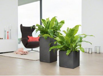 Кашпо Канто Стоун 40 колон