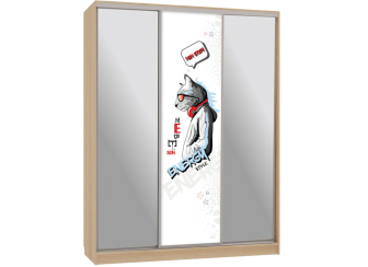 Шкаф-купе Бассо 9-600