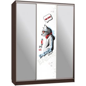 Шкаф-купе Бассо 9-600