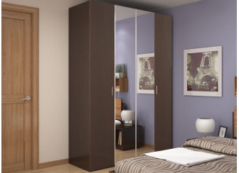 Шкаф для одежды 555