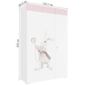 Шкаф Ариана 25