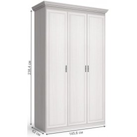 Шкаф Бирель 3