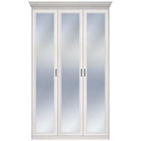 Шкаф Бирель 3