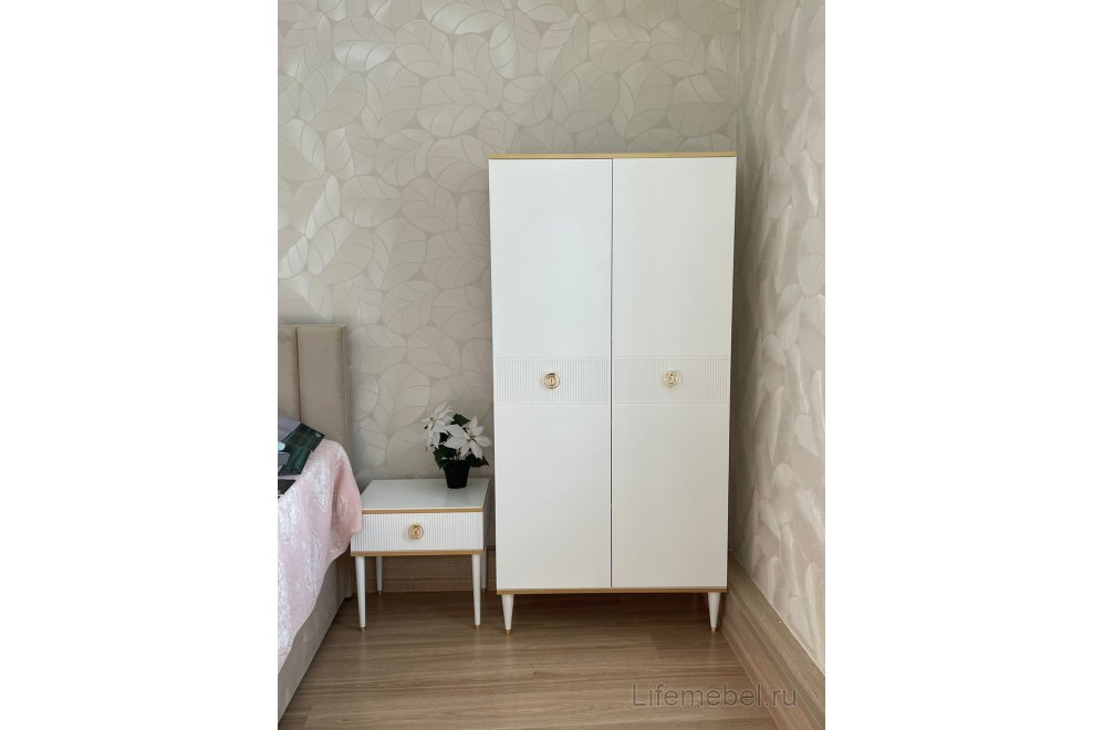 Шкаф Далли двустворчатый 1