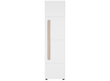 Шкаф Данк ШК-008