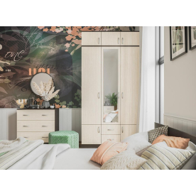 Шкаф Ронда ШК-3