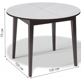 Деревянный стол Стол 1000M