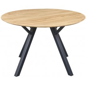 Деревянный стол DT-938