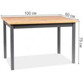 Деревянный стол Adam 100