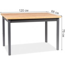 Деревянный стол Adam 120