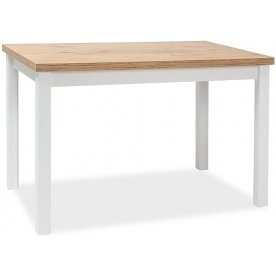 Деревянный стол Adam 120