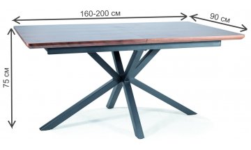 Деревянный стол Logan 160-200/90/75