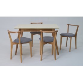 Обеденная группа Сканди Франк 120