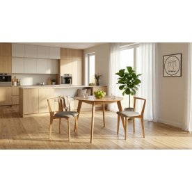 Обеденная группа Сканди Франк К 100