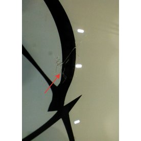 Стеклянный стол Line