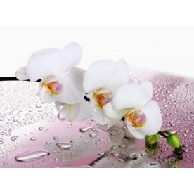 Стеклянный стол Лотос 1000 х 600