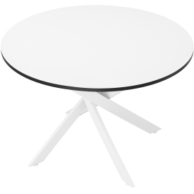 Стеклянный стол DikLine Rs90