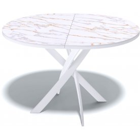 Стеклянный стол R1100s