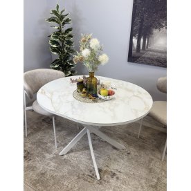 Стеклянный стол R1100s