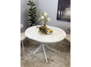 Стеклянный стол R1100s