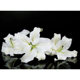 Стол Асти фото 2