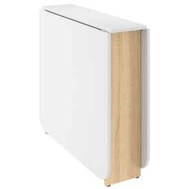 Стол-книжка Мечта 2