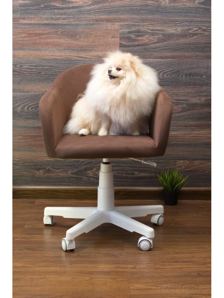 Компьютерное кресло Бабби белый / коричневый