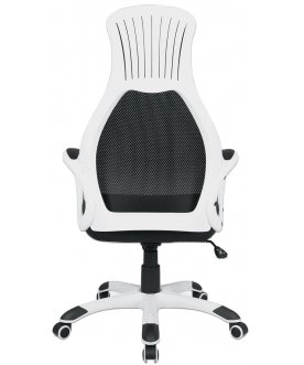 Компьютерное кресло Premium Genesis EX-517