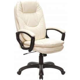 Компьютерное кресло Premium Trend EX-568