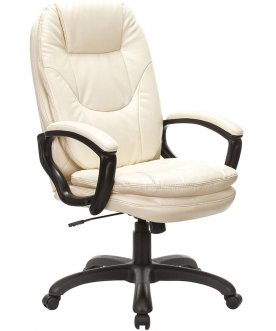 Компьютерное кресло Premium Trend EX-568
