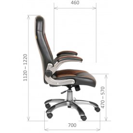 Компьютерное кресло Chairman 439