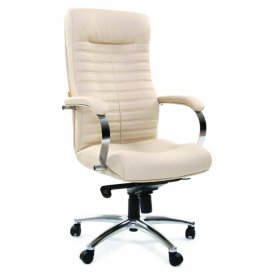 Компьютерное кресло Chairman 480