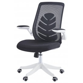 Компьютерное кресло Chairman CH565