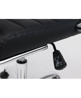 Компьютерное кресло Elegance Light Eco