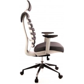 Компьютерное кресло Ergo