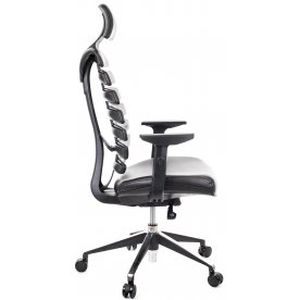 Компьютерное кресло Everprof Ergo Black