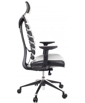 Компьютерное кресло Everprof Ergo Black