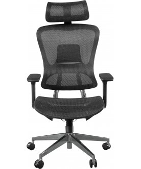 Компьютерное кресло Expert Ergo Fly