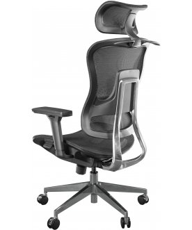 Компьютерное кресло Expert Ergo Fly