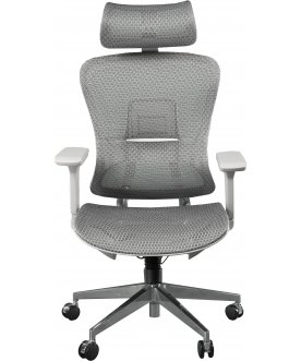 Компьютерное кресло Expert Ergo Fly