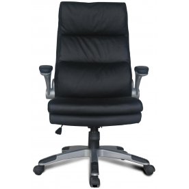 Компьютерное кресло Fregat EX-510