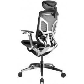 Компьютерное кресло Gt Chair Dvary X Pro