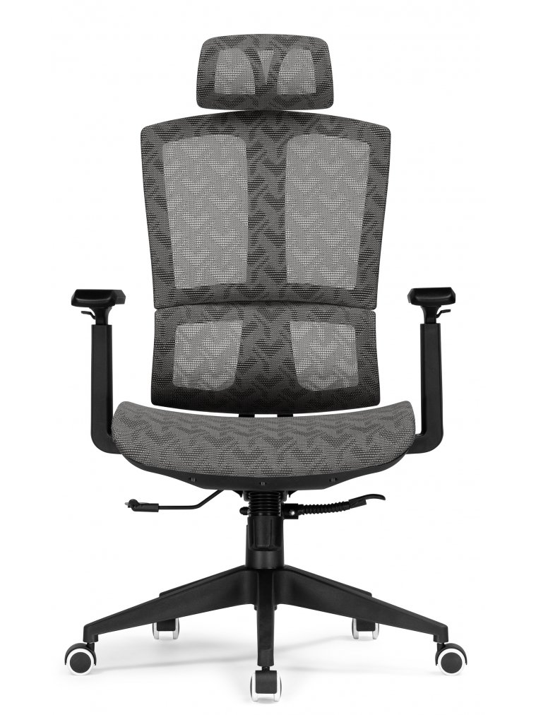 Компьютерное кресло Lanus gray / black