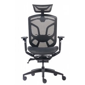 Компьютерное кресло Dvary X